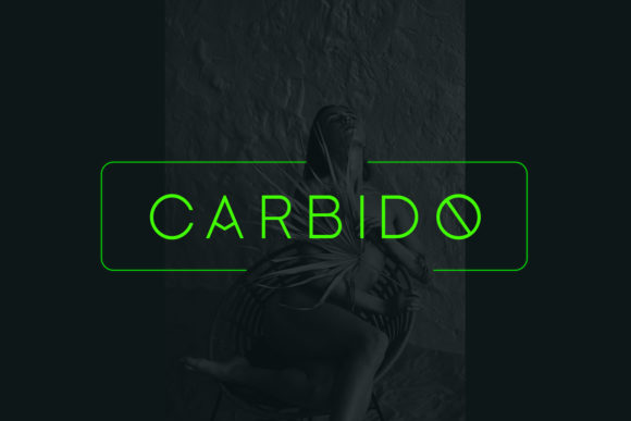 Carbido: A Modern Sans Serif Font for Web Design
