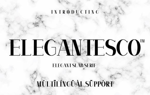 Elegantesco: The Modern Slab Serif Font for Clear Campaign Messaging