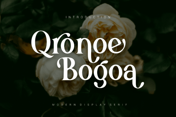 Qronoe Bogoa First Impressions and Real-World Use