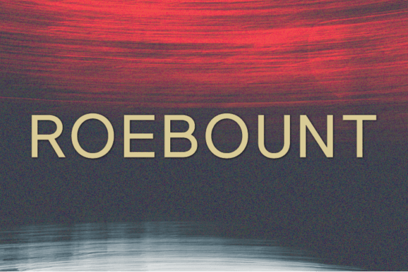 Roebount: A Modern Sans Serif Font for Branding Projects